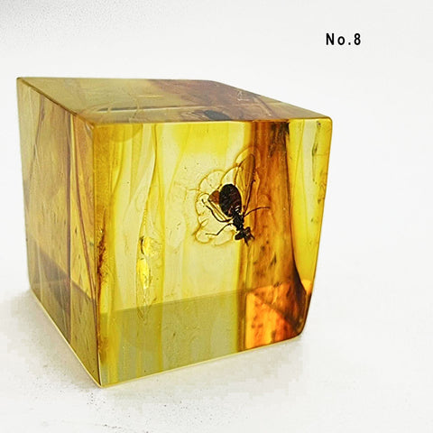 Natural Amber Cube Shape Cabochons With Insects