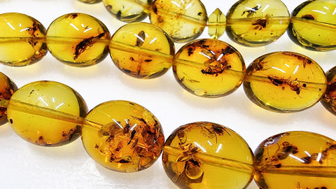 Natural Amber Egg Shape 14x12 mm Islamic Prayer Beads With Insects