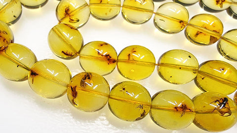 Natural Amber Egg Shape 12 mm Islamic Prayer Beads With Insects