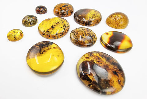 Fossil Amber Free Shape Round Cabochons