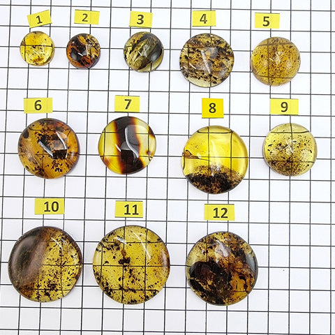 Fossil Amber Round Free Shape Cabochons