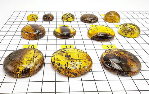 Fossil Amber Round Free Shape Cabochons