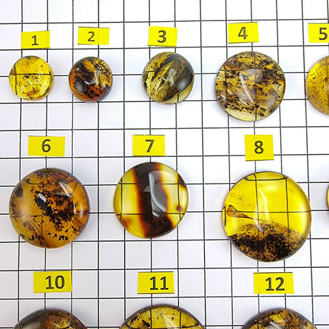 Fossil Amber Round Free Shape Cabochons