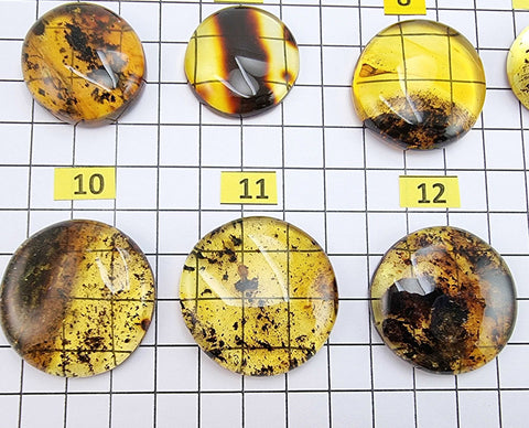 Fossil Amber Round Free Shape Cabochons