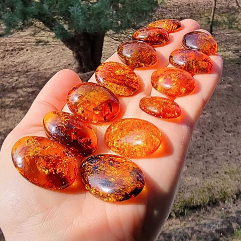 Cognac Amber Free Shape Cabochons