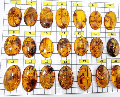 Cognac Amber Free Shape Cabochons