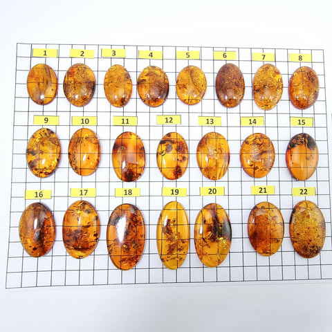 Cognac Amber Free Shape Cabochons