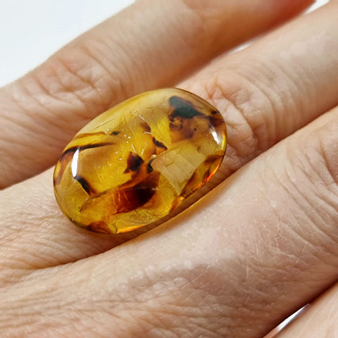 Cognac Amber Free Shape Cabochons