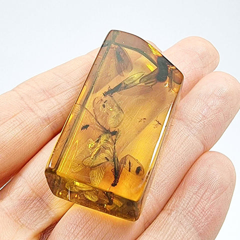 Natural Amber Rectangular Shape Stone With Insects