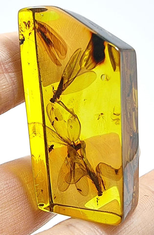 Natural Amber Rectangular Shape Stone With Insects