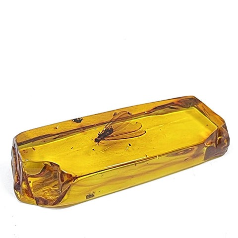 Natural Amber Rectangular Shape Stone With Insects