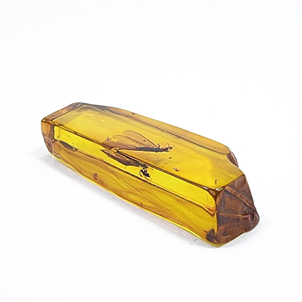 Natural Amber Rectangular Shape Stone With Insects