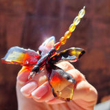 Gradient Amber Dragonfly Brooch - Pendant