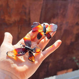 Gradient Amber Butterfly Brooch - Pendant