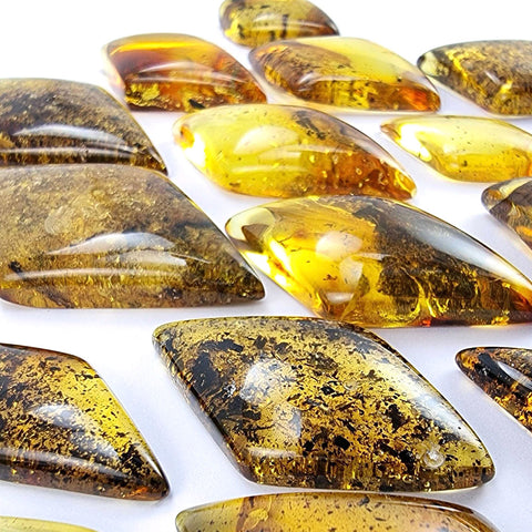 Fossil Amber Rhombus Shape Cabochons