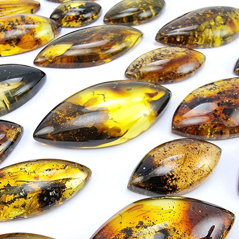 Fossil Amber Marquise Shape Cabochons