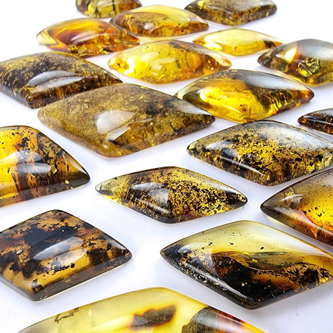 Fossil Amber Rhombus Shape Cabochons