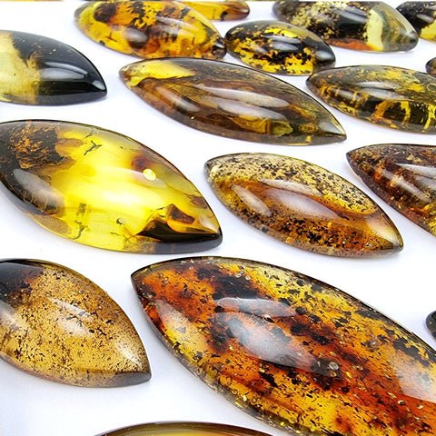 Fossil Amber Marquise Shape Cabochons