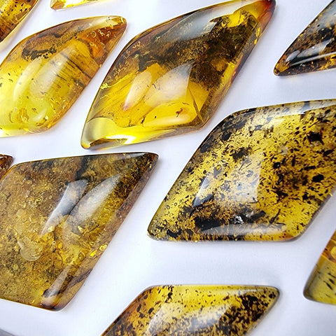 Fossil Amber Rhombus Shape Cabochons