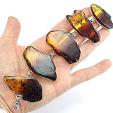 Gradient Color Plate Shape Amber Bracelet