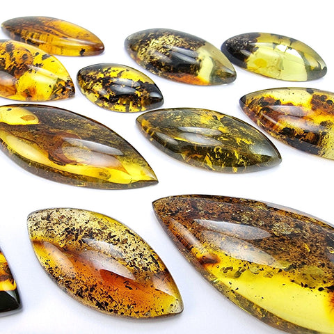 Fossil Amber Marquise Shape Cabochons