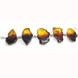 Gradient Color Plate Shape Amber Bracelet