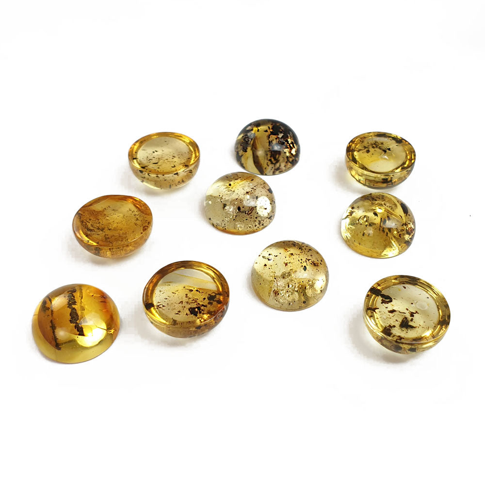 Fossil Amber Calibrated Round Cabochons