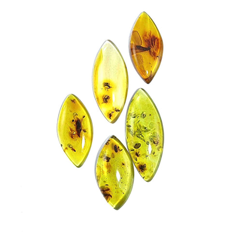 Natural Amber Marquise Shape Cabochon With Insects