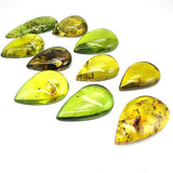 Green Drop Shape Cabochons With Insects