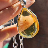 Lemon Amber Drop Shape Pendant Sterling Silver With Insect