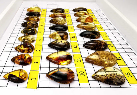 Fossil Amber Handmade Drop Cabochons