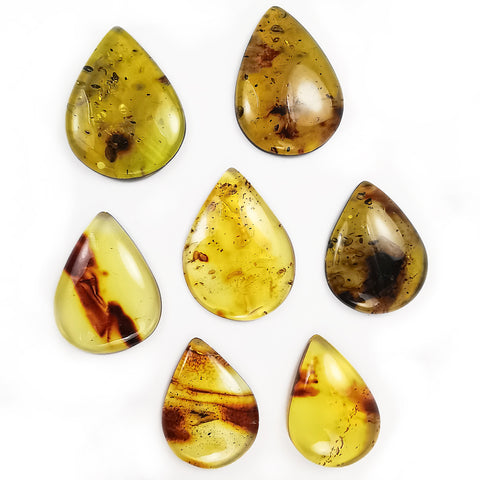 Green Fossil Amber Drop Shape Cabochons