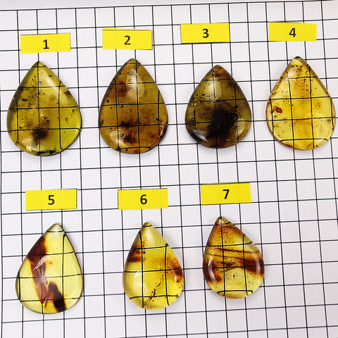 Green Fossil Amber Drop Shape Cabochons