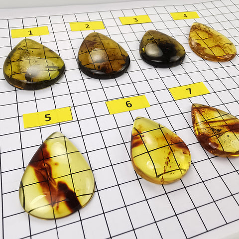 Green Fossil Amber Drop Shape Cabochons