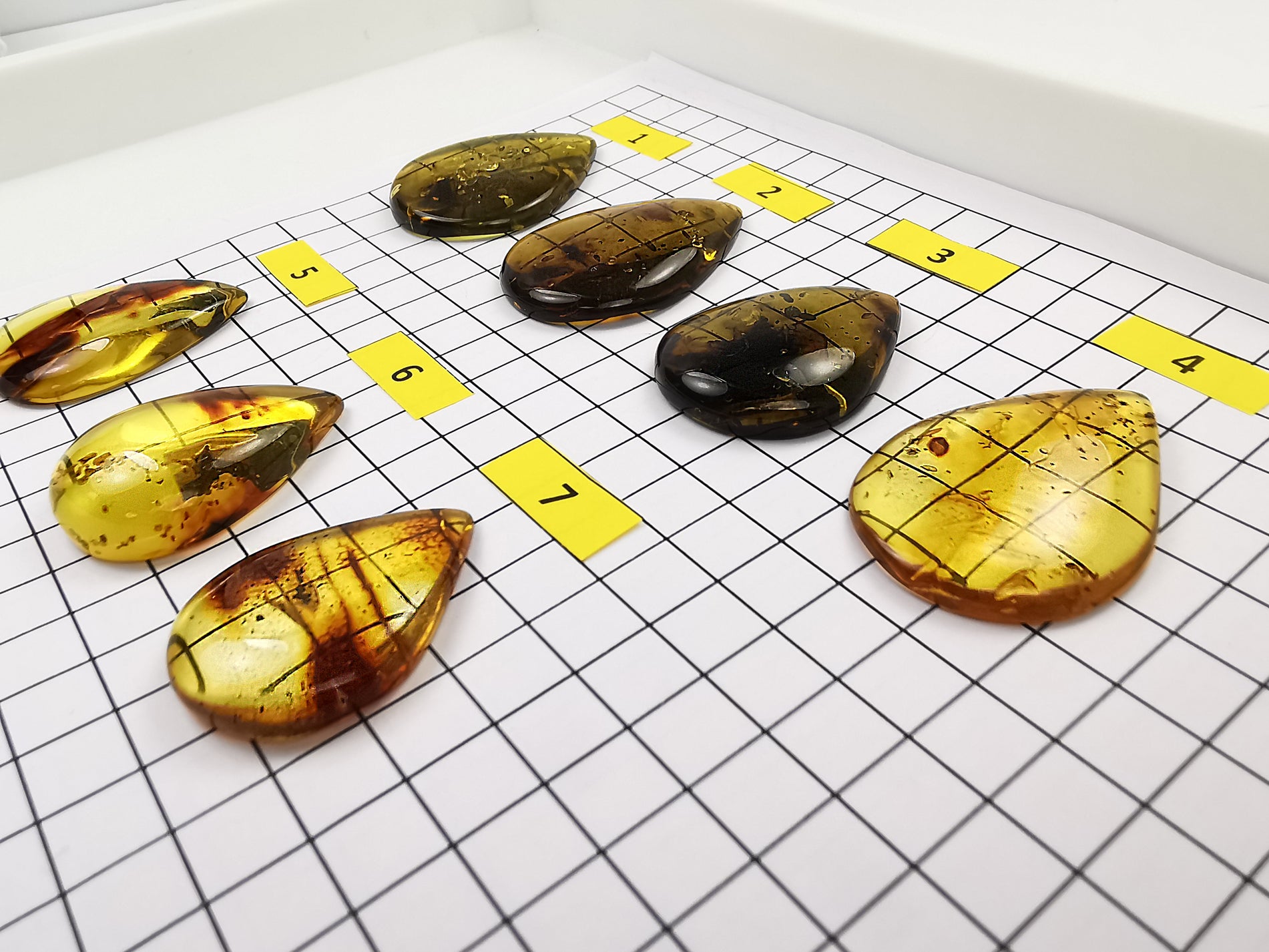Green Fossil Amber Drop Shape Cabochons