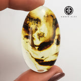 Natural Amber Free Shape Cabochon With Insects