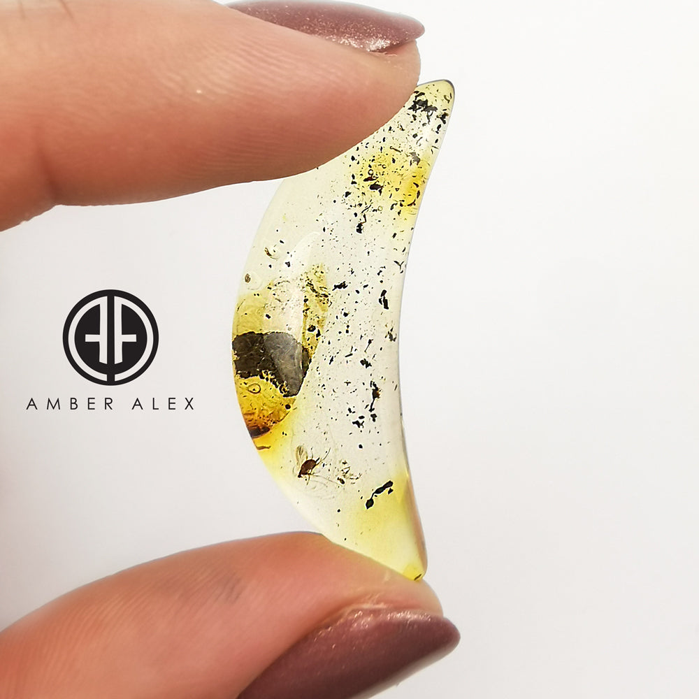 Natural Amber Moon Shape Cabochon With Insects