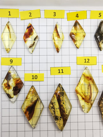 Natural Amber Rhombus Shape Cabochons