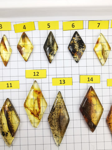 Natural Amber Rhombus Shape Cabochons