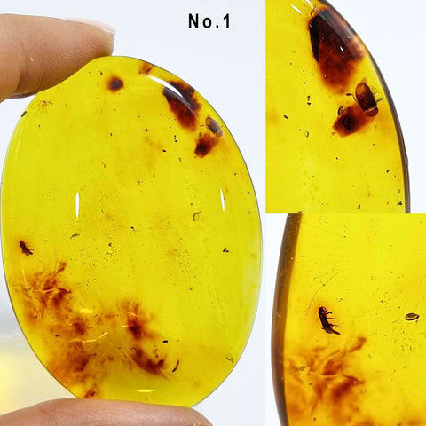 Natural Amber Free Shape Cabochons With Insects