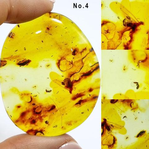 Natural Amber Free Shape Cabochons With Insects