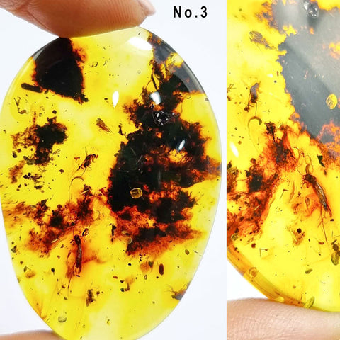 Natural Amber Free Shape Cabochons With Insects