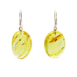 Insect Amber Nugget Dangle Earrings Sterling Silver - Amber Alex Jewelry