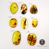 Free Shape Fossil Color Cabochon With Insects