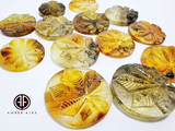 Fossil Amber Carved Leaf  Cabochons