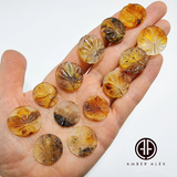Fossil Amber Carved Leaf  Cabochons