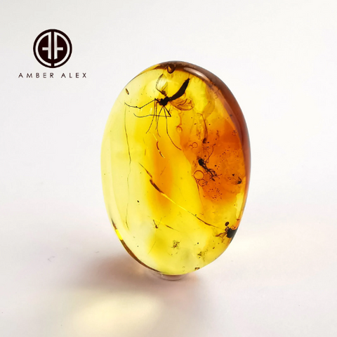 Free Shape Lemon Color Cabochon With Insects