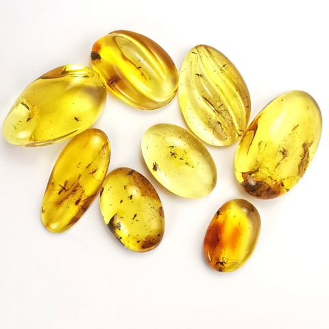 Free Shape Lemon Color Cabochon With Insects