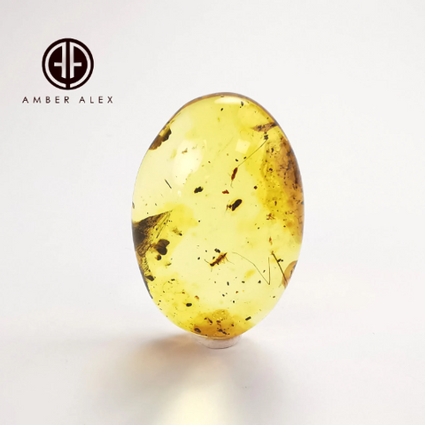 Free Shape Lemon Color Cabochon With Insects