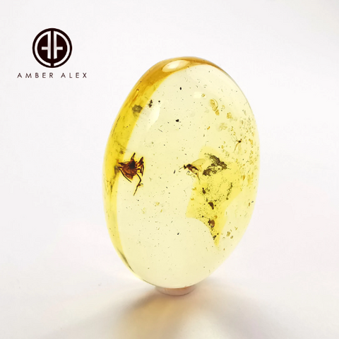 Free Shape Lemon Color Cabochon With Insects